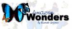 Amazon Wonders INC.